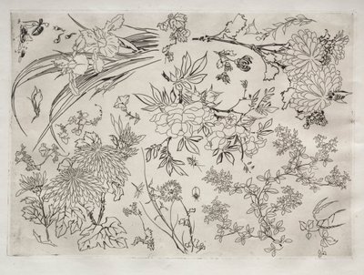 Service de table Rousseau : Fleurs n° 23, 1866 - Felix Bracquemond