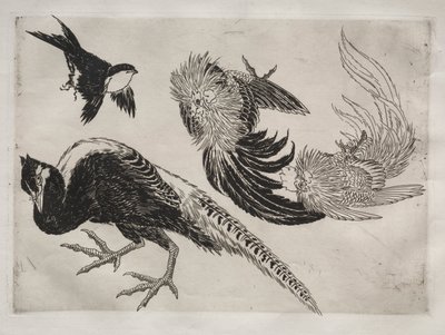 Service de table Rousseau : Faisans et oiseau n° 18, 1866 - Felix Bracquemond