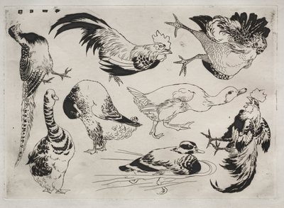 Service de table Rousseau : Coqs, canards, etc. no. 13, 1866 - Felix Bracquemond
