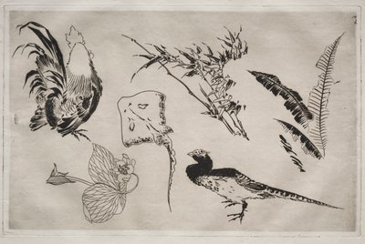 Service de table Rousseau : Coqs, raie, plantes, etc. n° 9, 1866 - Felix Bracquemond