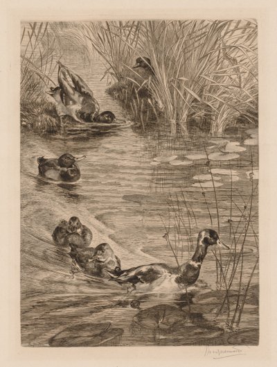 Canards en jeu - Felix Bracquemond