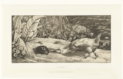 Canard et tortue sur le bord d