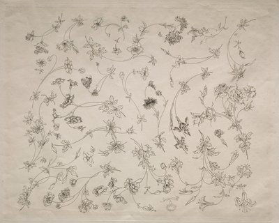 Motifs floraux pour assiettes et bordures (n° 14) - Felix Bracquemond