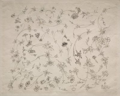 Dessins de fleurs pour assiettes et bordures n° 14, 1872 - Felix Bracquemond