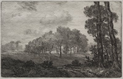 Paysage, d