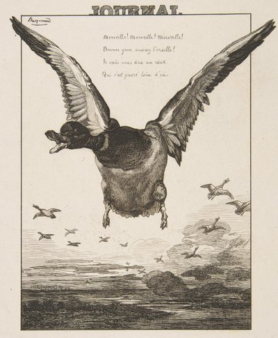Le Canard, 1856 - Felix Bracquemond