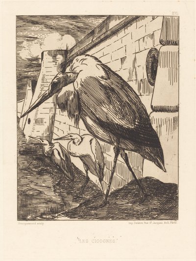 Les Cigognes - Felix Bracquemond