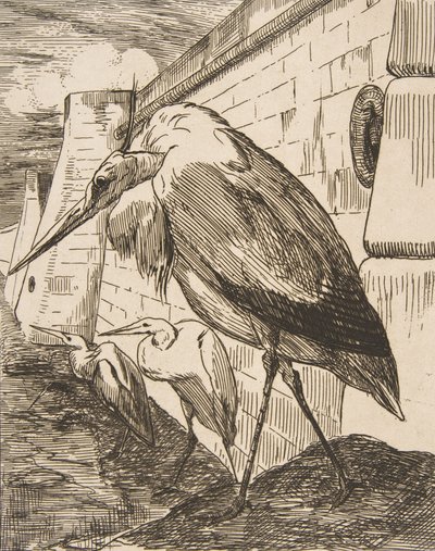 Les Cigognes - Felix Bracquemond