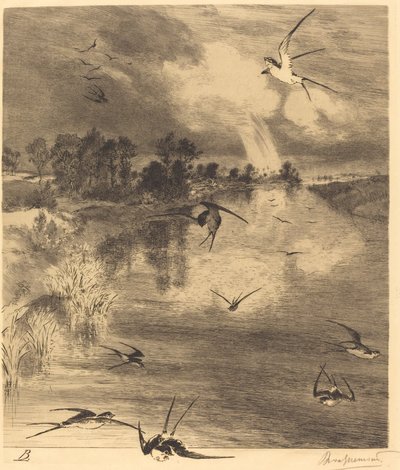 Les Hirondelles - Felix Bracquemond