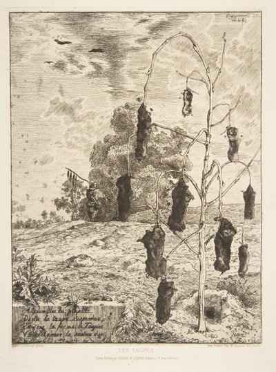 Les Taupes, 1854 - Felix Bracquemond