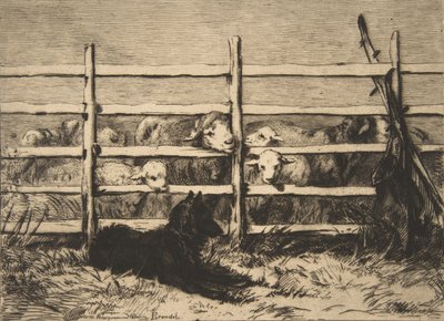 Moutons parqués, 1856 - Felix Bracquemond