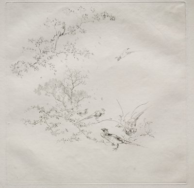 Service parisien (service Haviland) - Felix Bracquemond