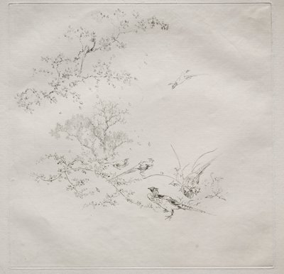 Service parisien (service Haviland) : Brouillard (no. 1) - Felix Bracquemond