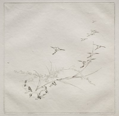 Service parisien (service Haviland) : En plein soleil (no. 9) - Felix Bracquemond