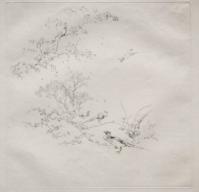 Service parisien Haviland : Brouillard no. 1 - Felix Bracquemond