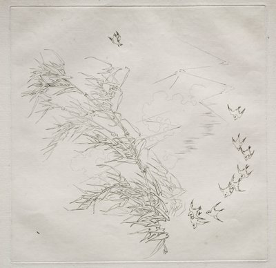 Service parisien Haviland : La Tempête n° 8, 1875 - Felix Bracquemond