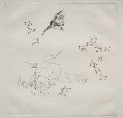 Service parisien Haviland : La Terreur n° 4, 1875 - Felix Bracquemond