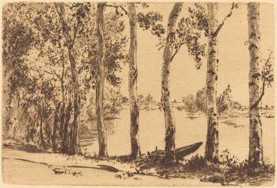 Peupliers le long de la Seine - Felix Bracquemond