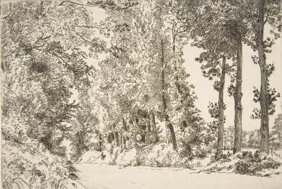 Rue des Bruyères, à Sèvres - Felix Bracquemond