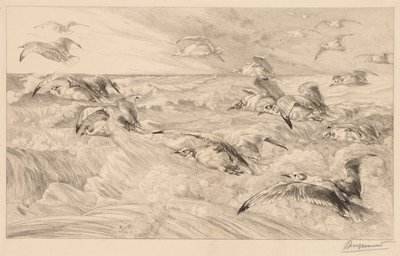 Seagulls (Les Mouettes) - Felix Bracquemond