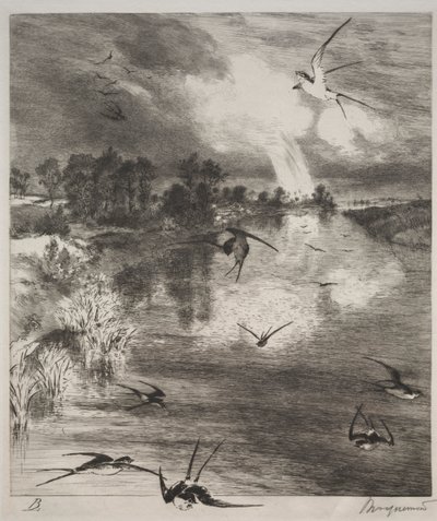Hirondelles - Felix Bracquemond