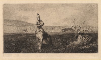 Le Lièvre, 1865 - Felix Bracquemond