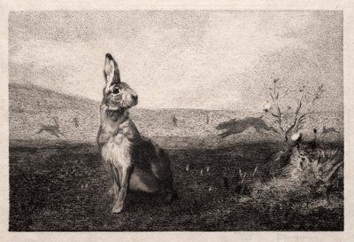 Le Lièvre d