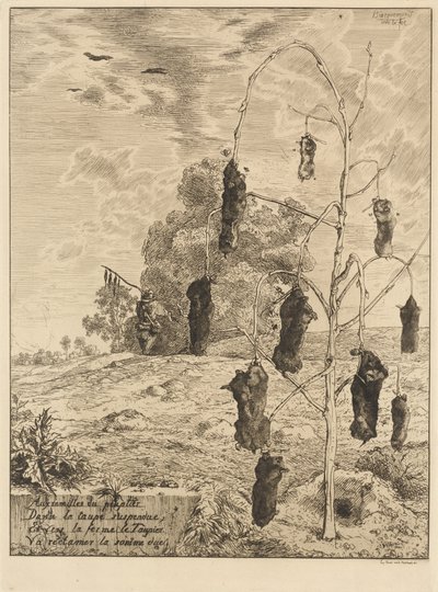 Les taupes - Felix Bracquemond