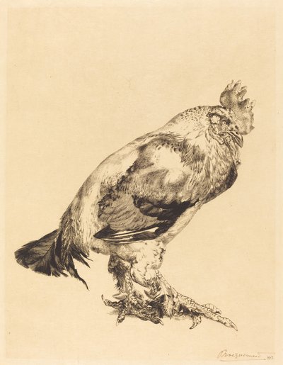 Le Vieux Coq - Felix Bracquemond