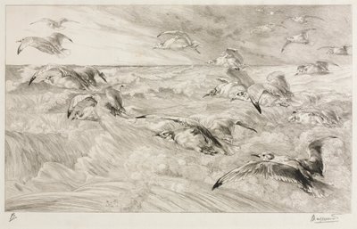 Les mouettes - Felix Bracquemond