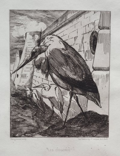 Les cigognes, 1865 - Felix Bracquemond