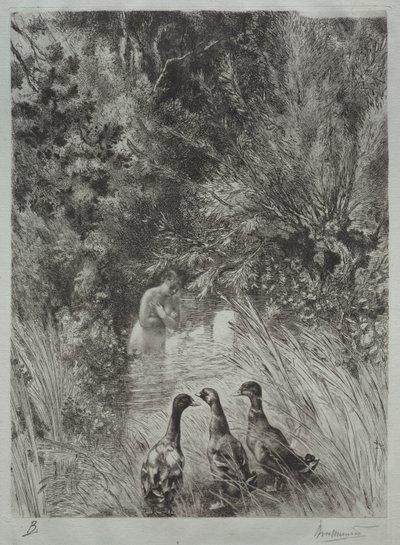 Les canards surpris - Felix Bracquemond