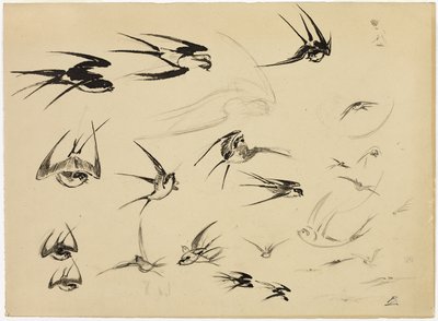 Les hirondelles - Felix Bracquemond