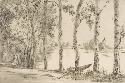 Trembles au bord de la Seine - Felix Bracquemond