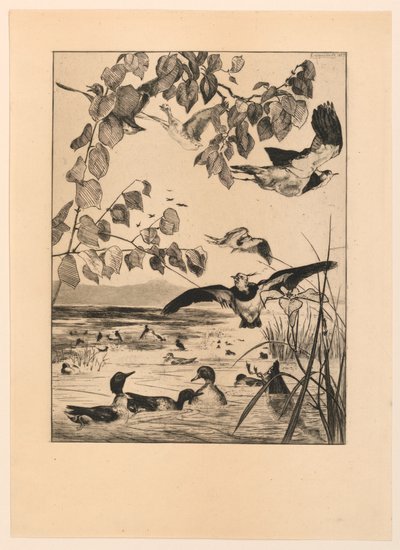Vanneaux et sarcelles - Felix Bracquemond