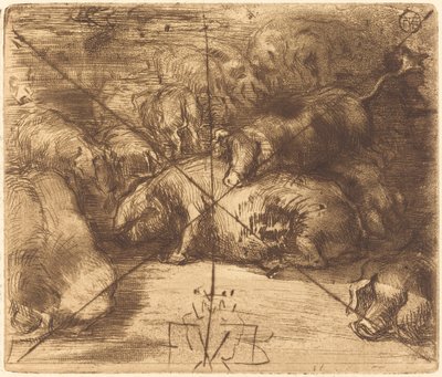 Cochons au Soleil, vers 1878 - Felix Hilaire Buhot