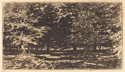 Forêt - Felix Hilaire Buhot