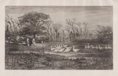 Oies, 1860-98 - Felix Hilaire Buhot