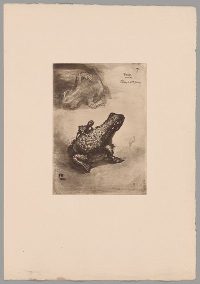 Japonisme - Felix Hilaire Buhot