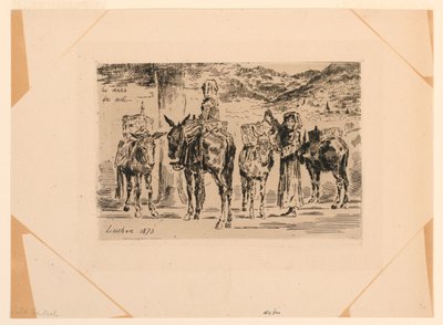 Les Ânes du Midi - Felix Hilaire Buhot