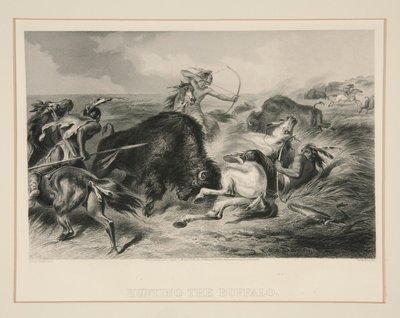 Chasse au bison - Felix O. C. Darley