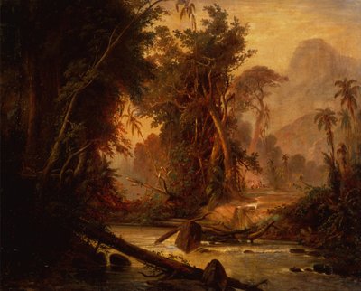 Forêt tropicale au Venezuela - Ferdinand Bellermann