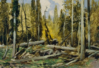 Forêt de Bohême (de la série 