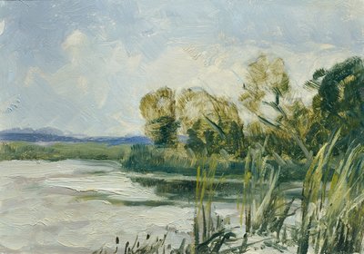 Wittingau (de la série "16 vues de paysages tchèques 