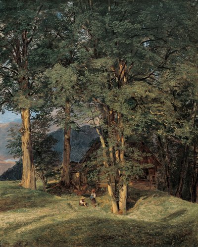 Érables près d