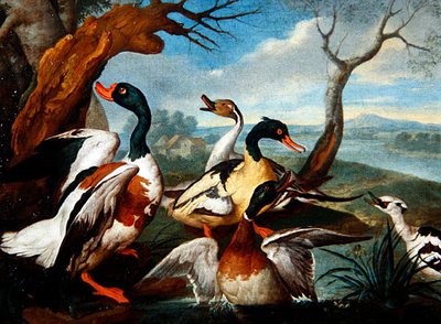 Canards dans un paysage fluvial - Ferdinand Phillip de Hamilton