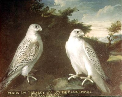 Paire de faucons gerfauts dans un paysage - Ferdinand Phillip de Hamilton