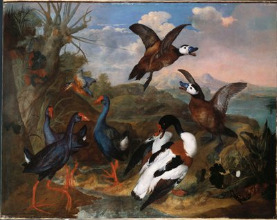Canards Tadorne et autres Volatiles dans un Paysage, 1720 - Ferdinand Phillip de Hamilton