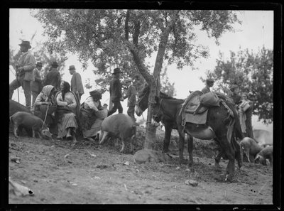 Au marché aux betteraves du bétail à Assise - Ferdinand Schmutzer