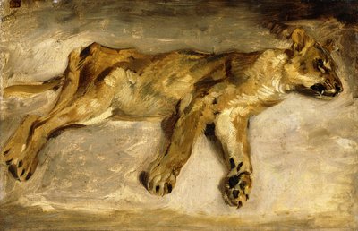 Une lionne endormie, vers 1830 - Ferdinand Victor Eugene Delacroix